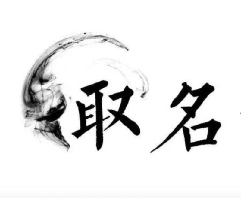  海原宝宝取名 大师一对一人工起名